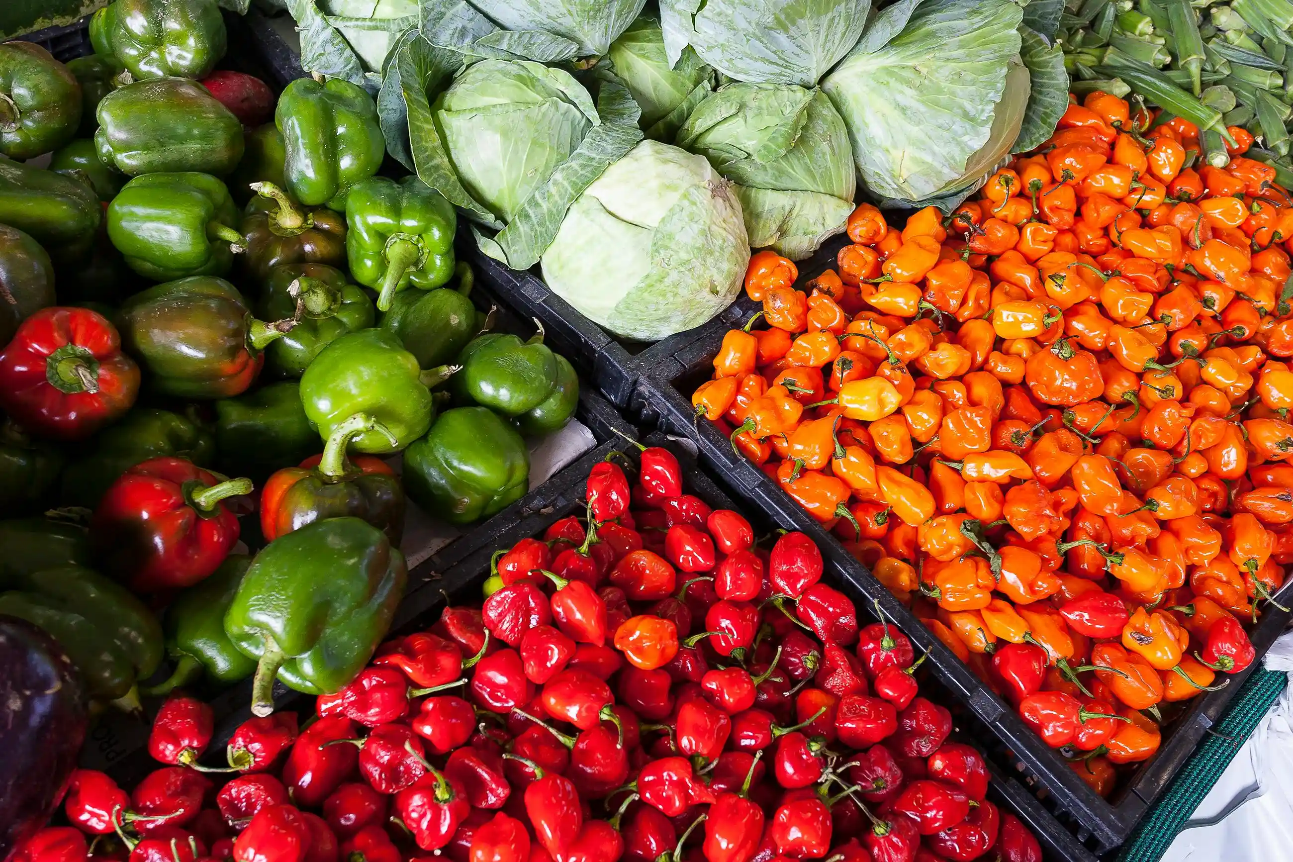 Pronóstico de Inflación 2Q – Dic