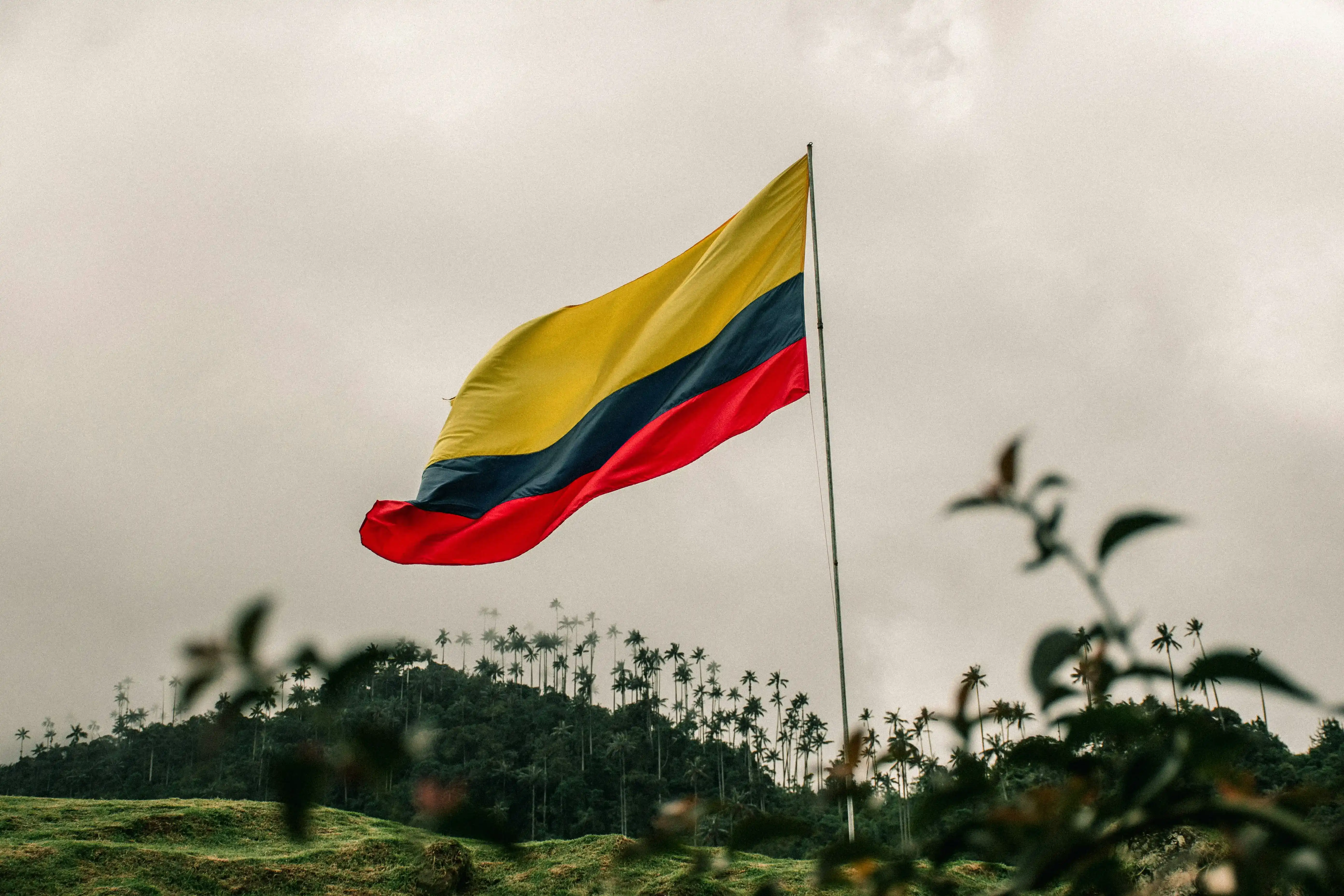 Colombia | tasa esperada para la próxima decisión: 12.00%